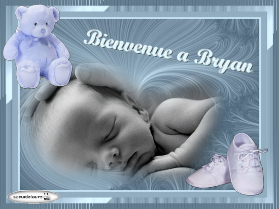 kdo de coeurdelouve 