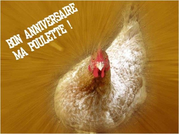 kdo de lulu 